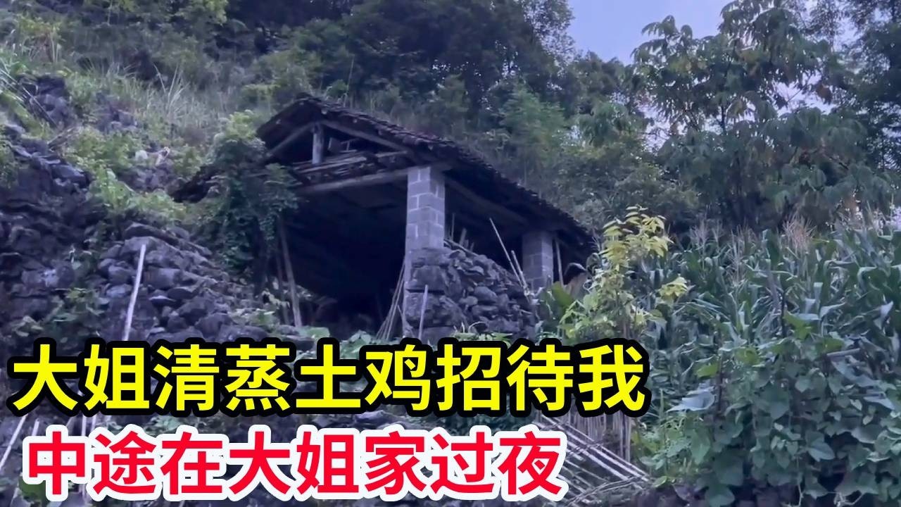 去看望91岁独居深山的奶奶，中途在大姐家过夜，大姐又清蒸土鸡招待我！【山农乐哥】
