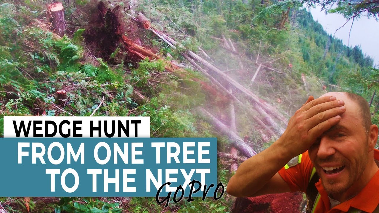 Runaway Blowdown | Thick Bushwacking