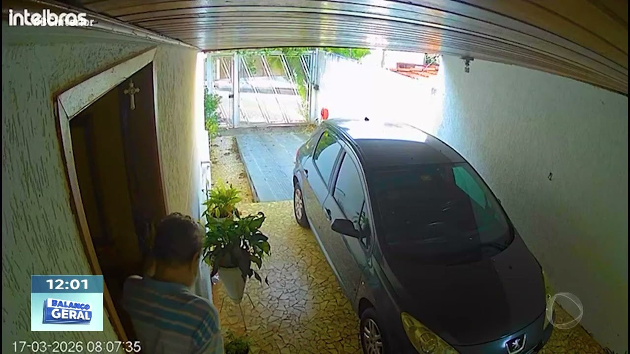 Onça correu por bairro em Bauru: motociclista flagrou animal disparada