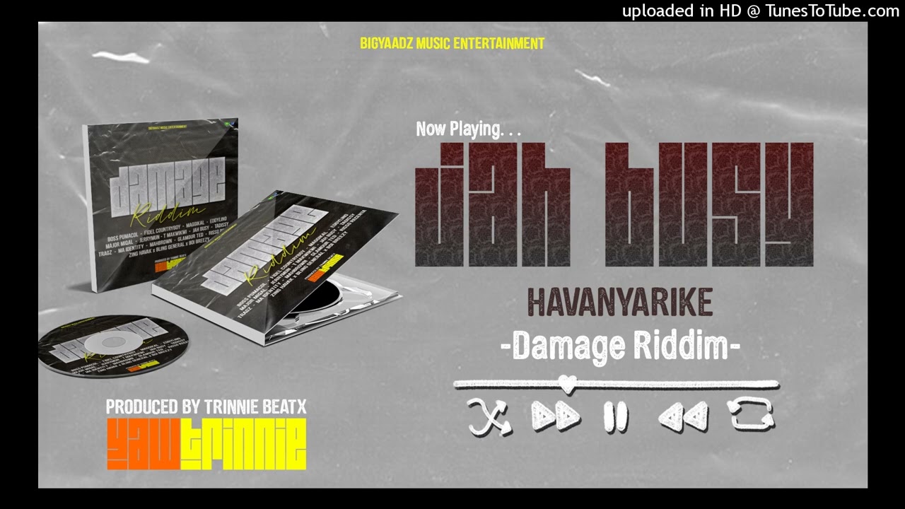 11. Jah Busy - Havanyarike (DAMAGE RIDDIM FEB. 2026)