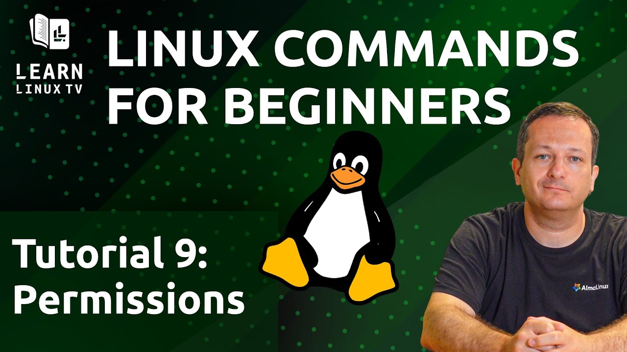 Команды Linux для начинающих 09 — Понимание прав доступа
