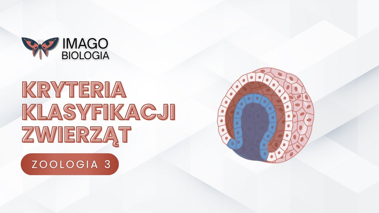 Kryteria klasyfikacji zwierząt