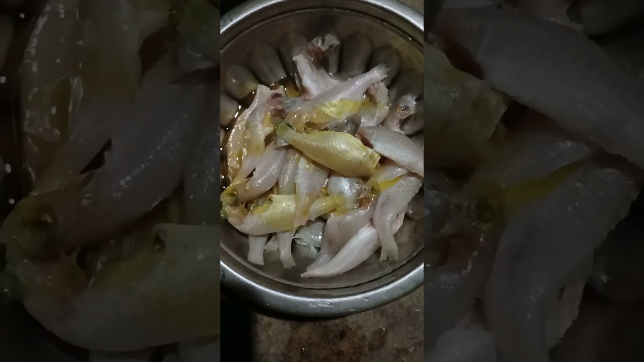 সমুদ্রের মাছের বোনা