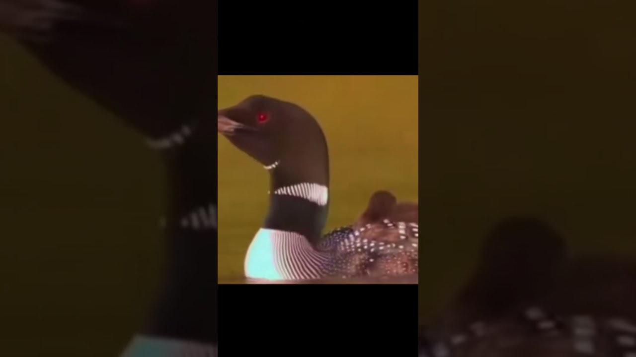 From where the sound of spinosaurus came #viralvideo #shortvideo #dinosaur