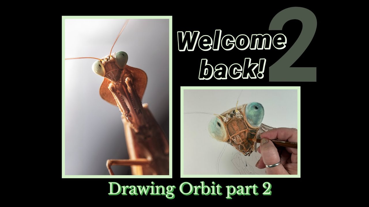 Drawing techniques I use while drawing part of my praying mantis Orbit’s face