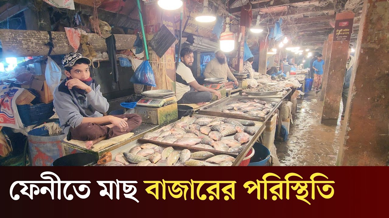 শীতের প্রভাব পড়েছে মাছ বাজারে। বিক্রেতারা বলছেন দাম কম থাকলেও ক্রেতা কম...