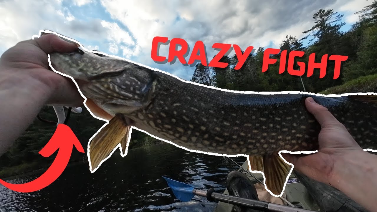 I Caught my FIRST PIKE! - Fishing the Adirondacks