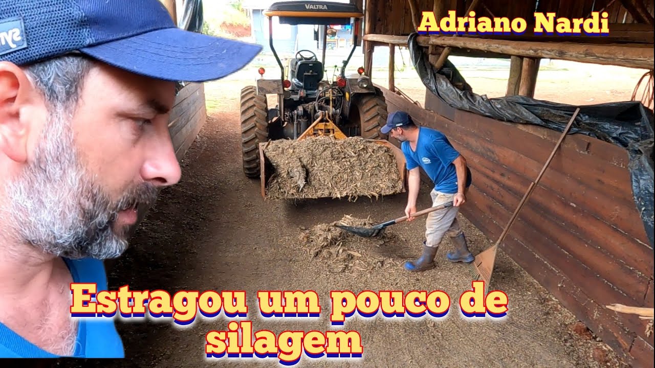 Vamos fazer uma limpeza no silo de silagem.
