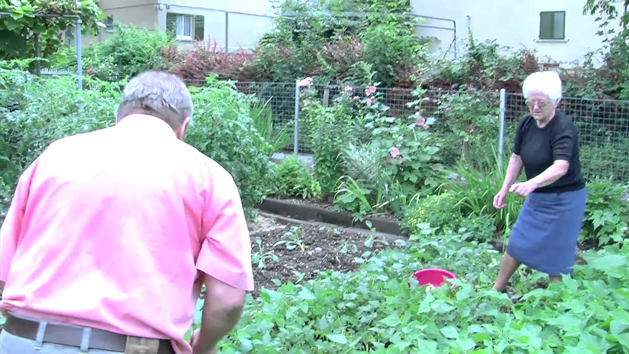 Neulich im Garten