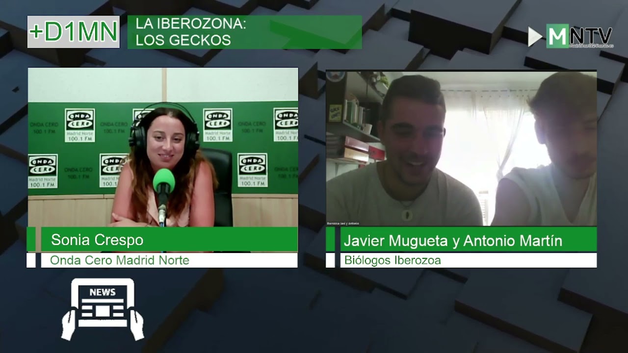 La Iberozona, los Geckos