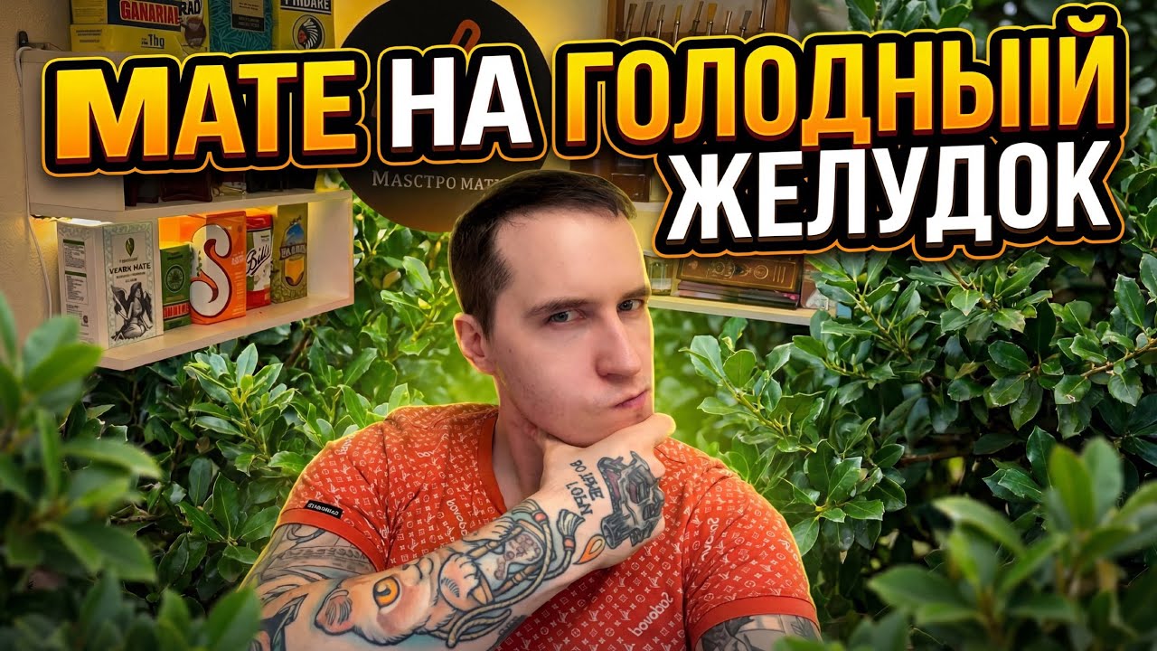 Можно ли пить йерба мате на голодный желудок