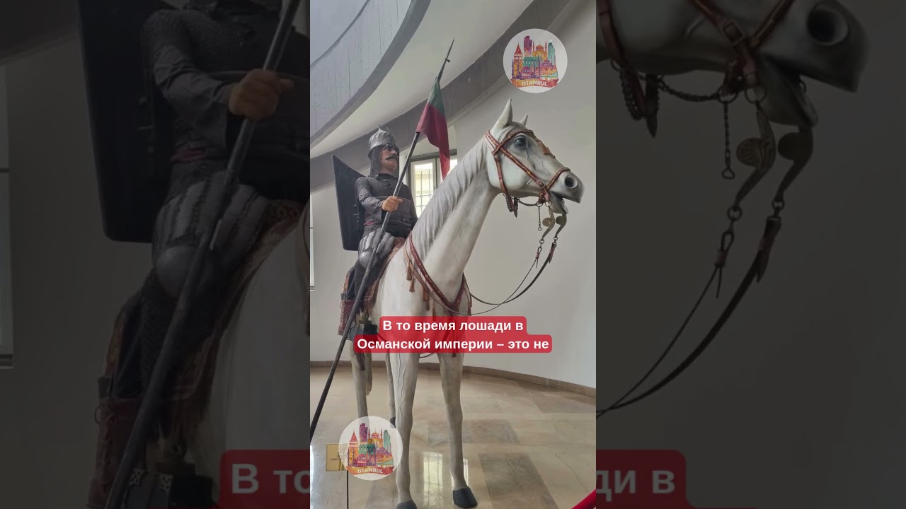 Не конюх: кто такой главный конюший у султана