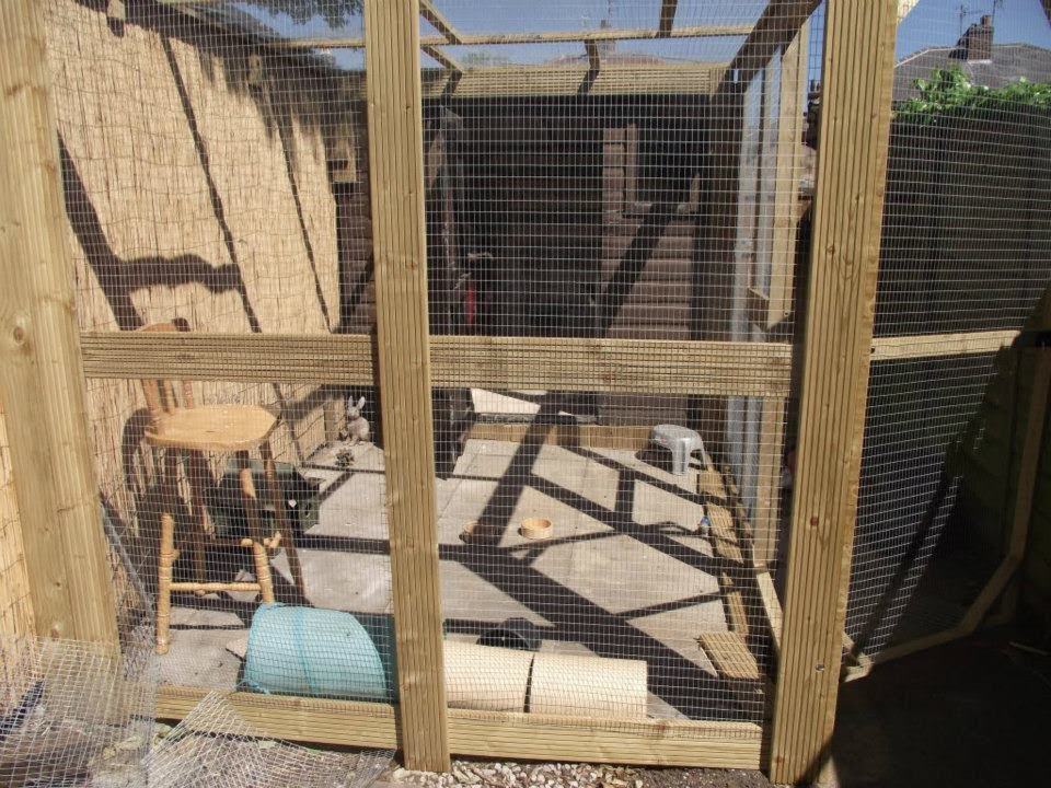 Rabbit Shed Tour!! (+ Organisation)