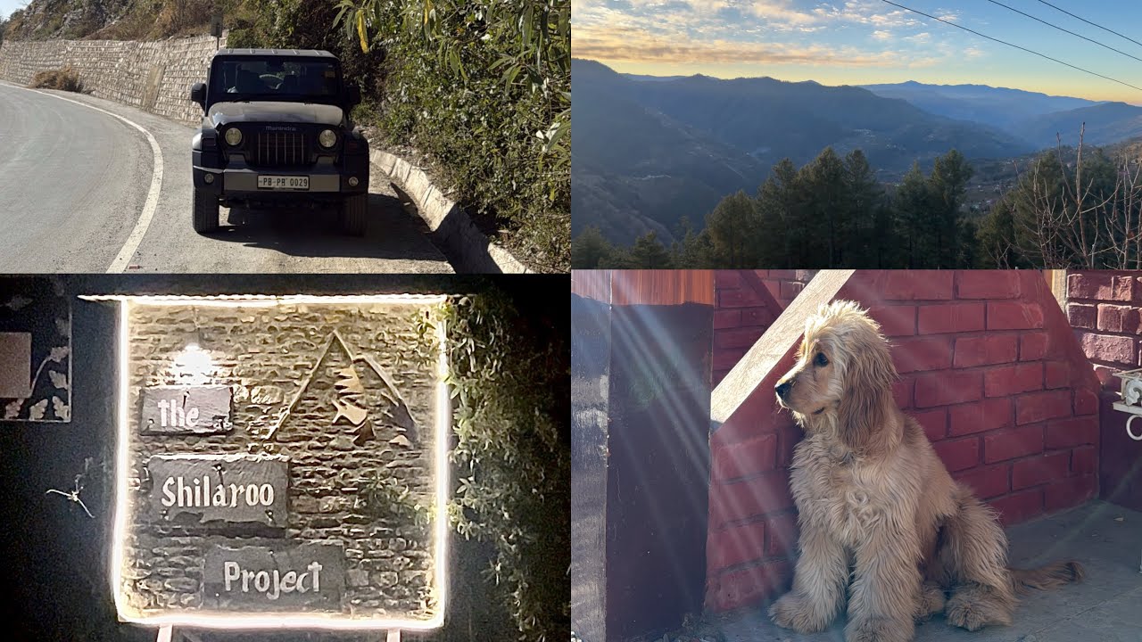  PART 2 ‘Narkanda:Experiencing The Shilaroo Project–Unforgettable Stay,Incredible Vibes and Pure Joy