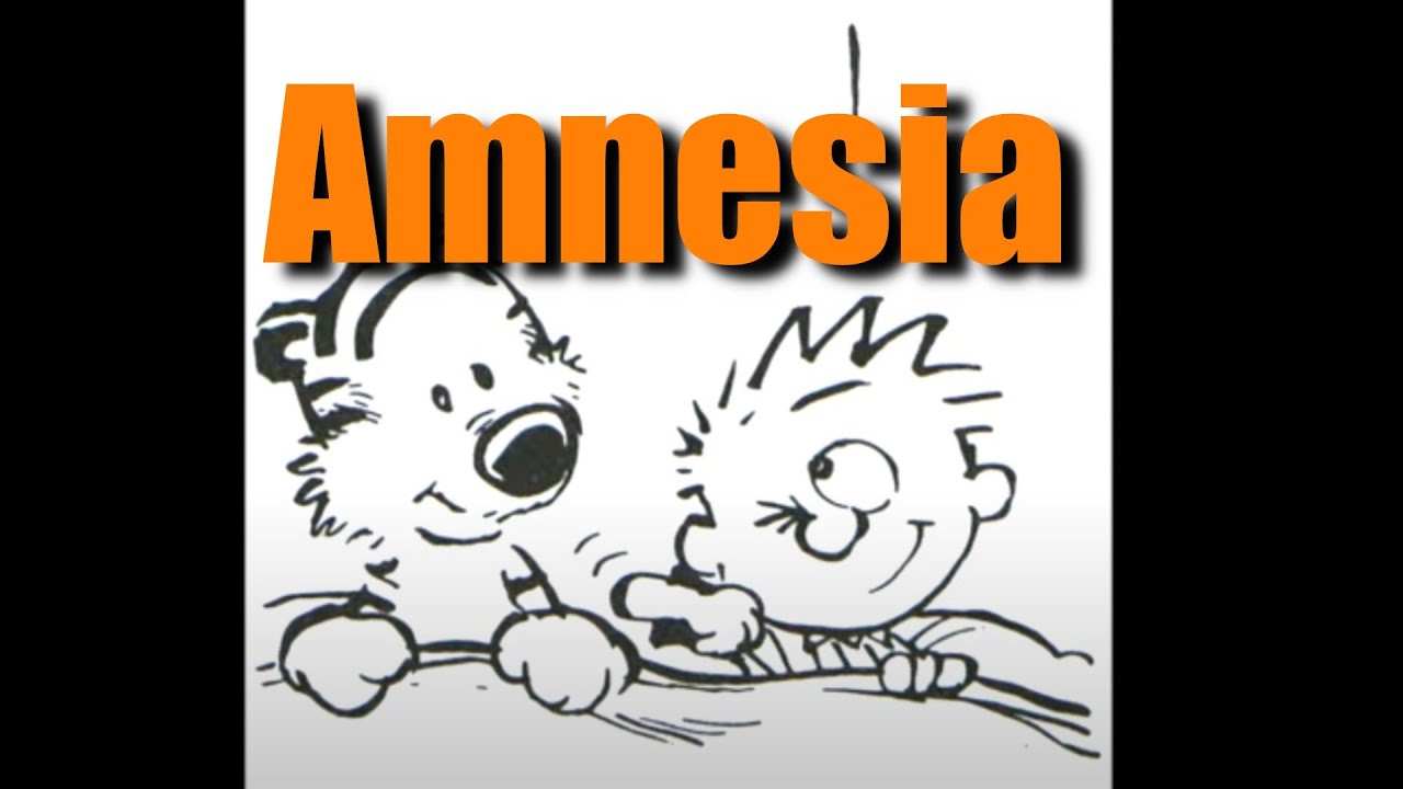 Amnesia - Calvin and Hobbes