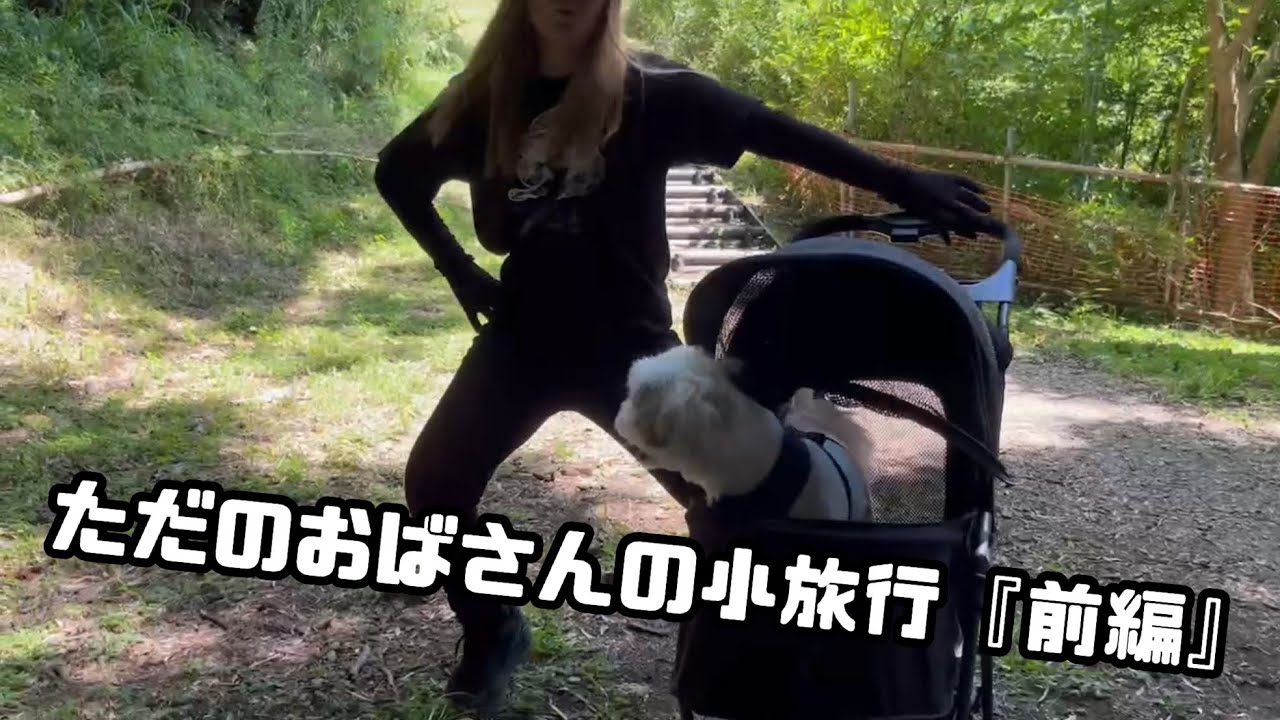『前編』ただのおばさんの小旅行in静岡県伊東市、一碧湖