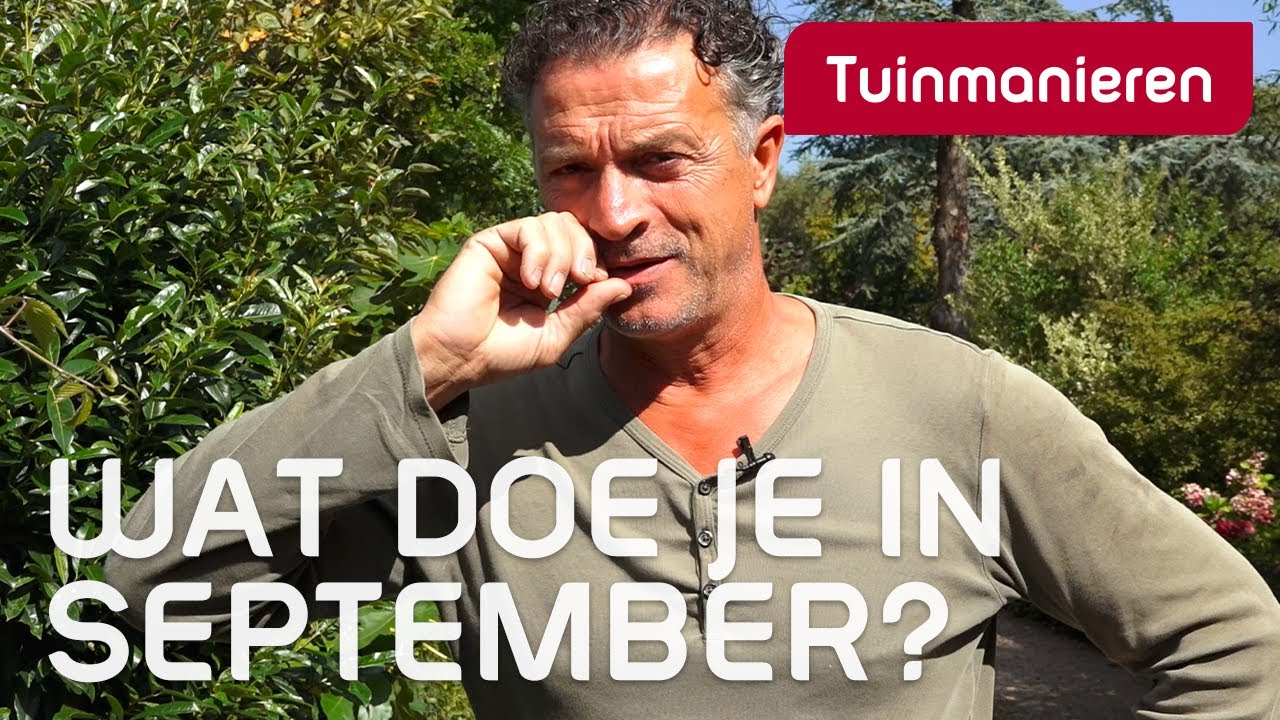 Wat doe je in september in de tuin? | Nazomer | Tuinmanieren