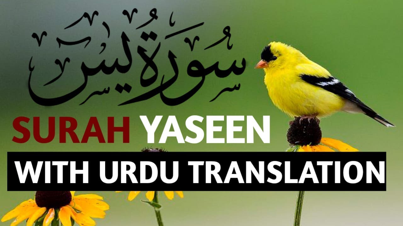 Surah Yaseen Full with Urdu Translation (سورة يس) | Heart Touching Quran Recitation