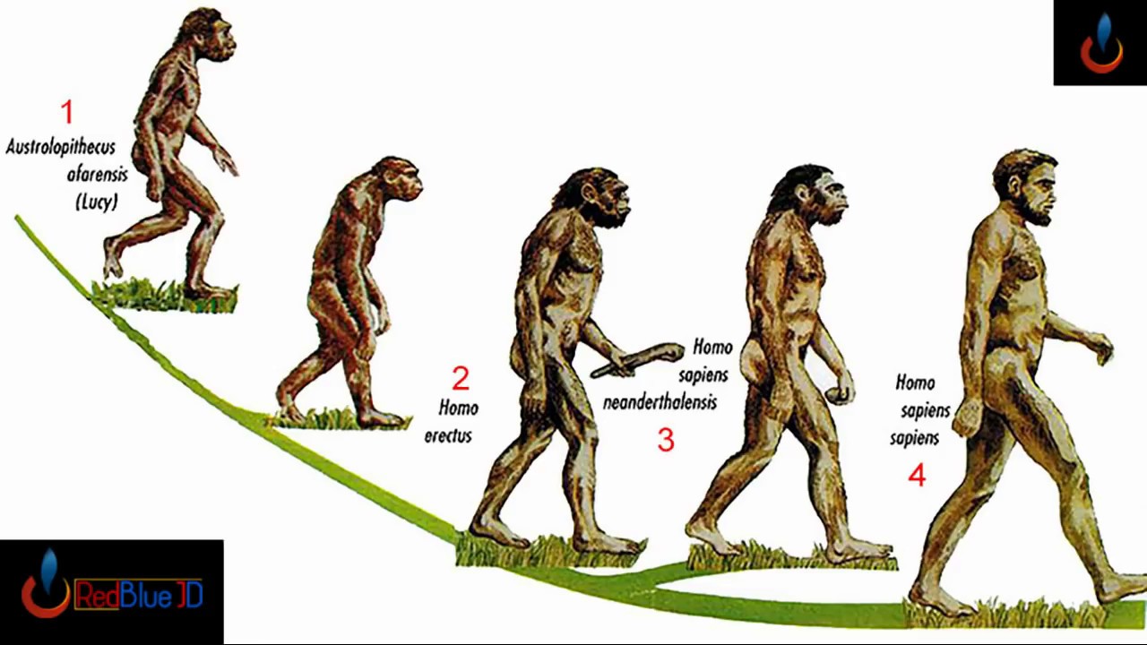 Ibyo tubeshywa by ISMAEL Mwanafunzi: Amateka y' umuntu