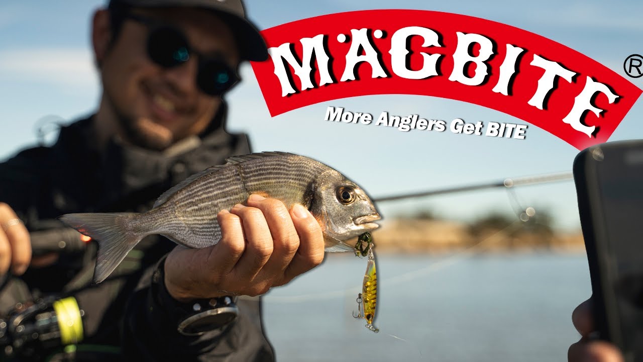 MAGBITE se Sale 🔥 Vadeamos por el Delta del Ebro!