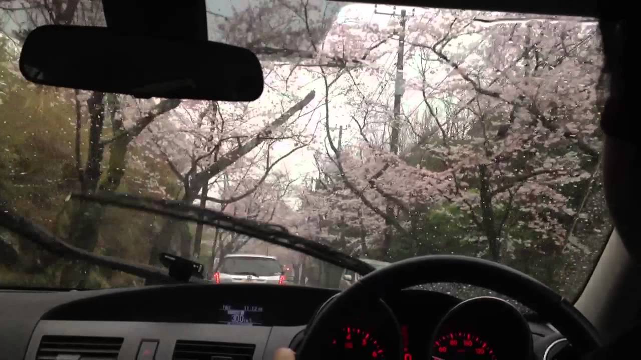 Izu sakura tunnel 2