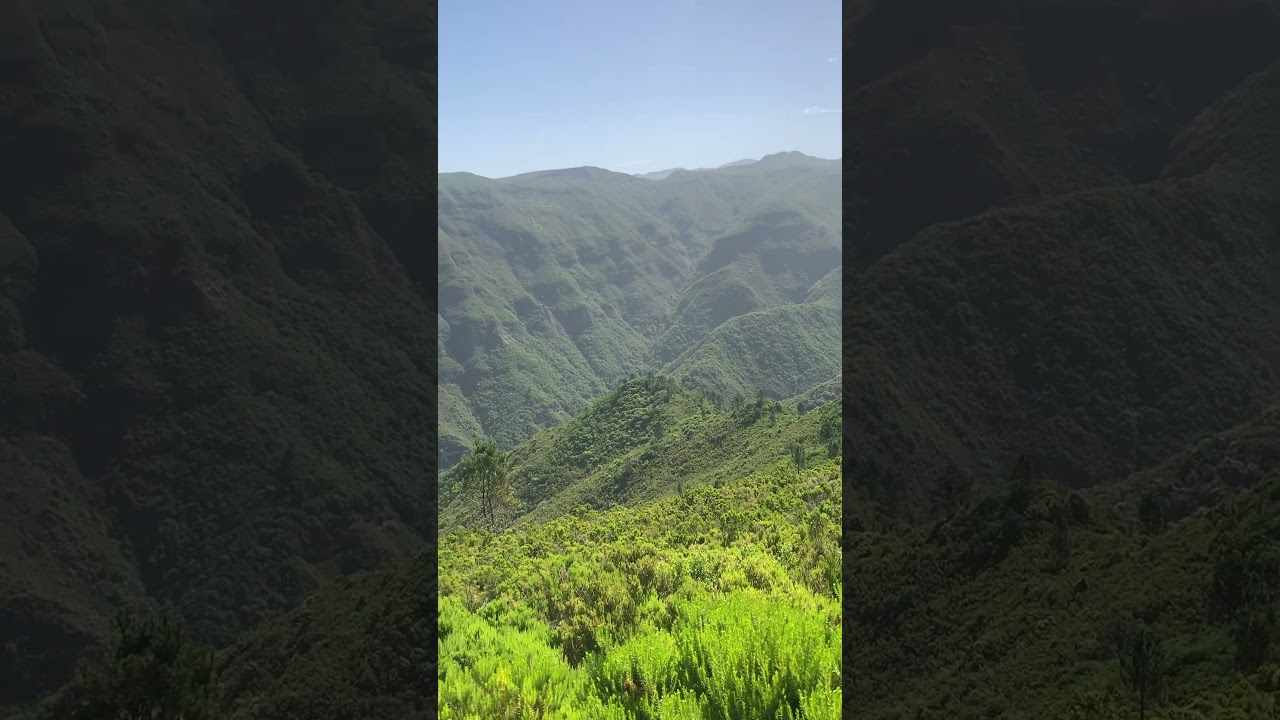 This should be used as a retiedment place. #madeira #mountains #retirement