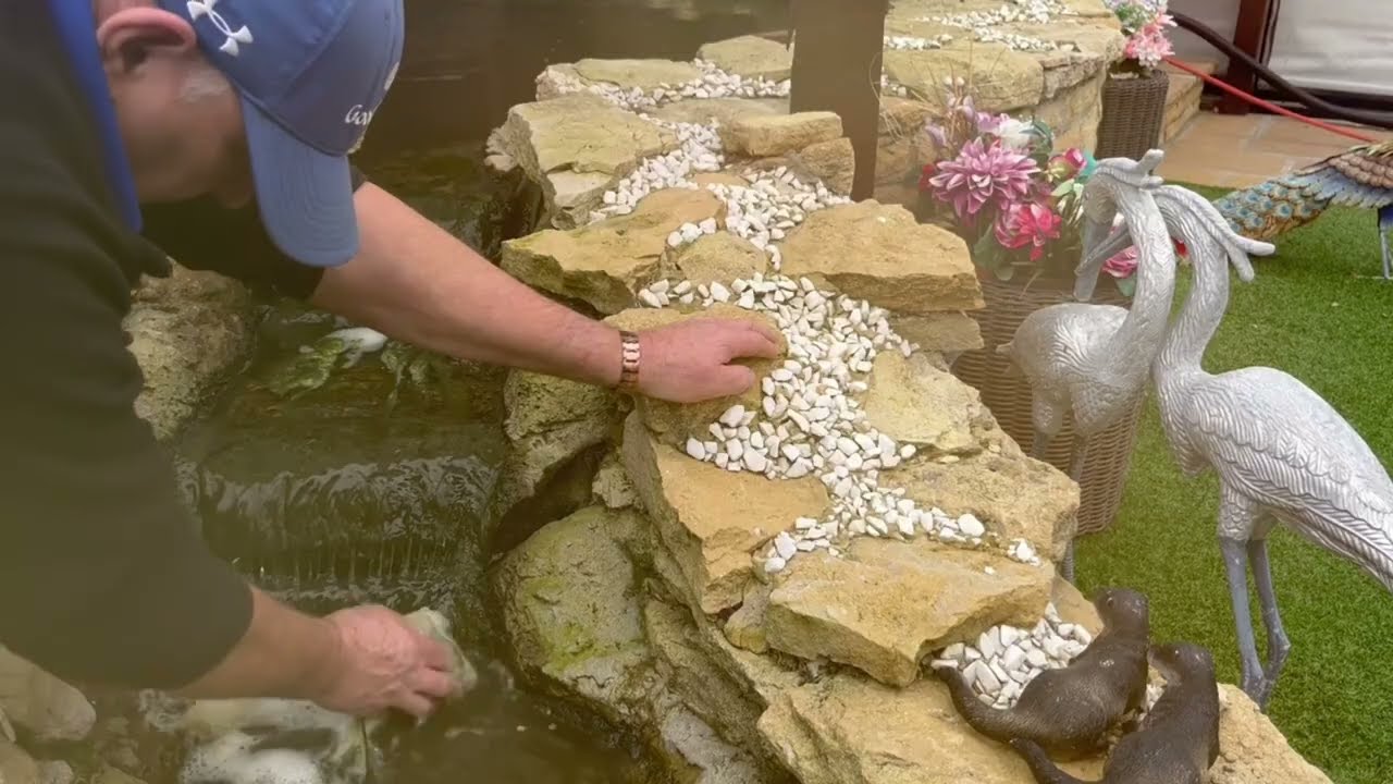 This pond doesn’t look after itself