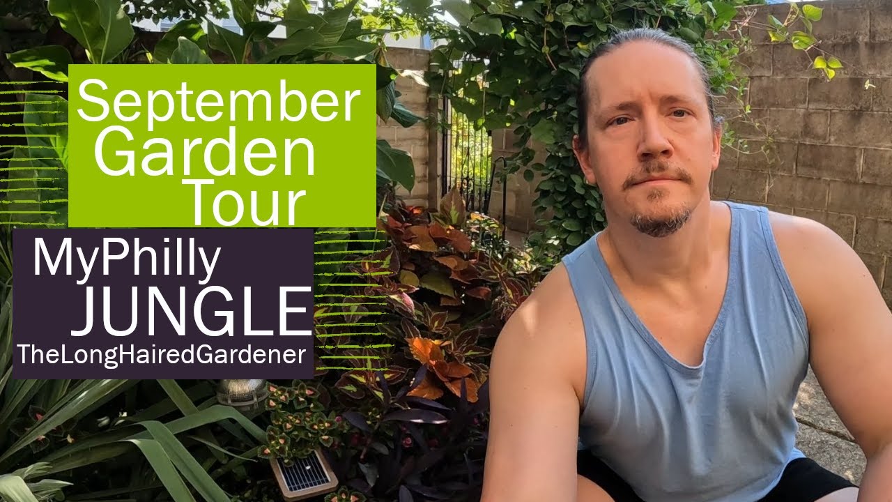 September Garden Update | Urban Gardening | Philly Garden Tour