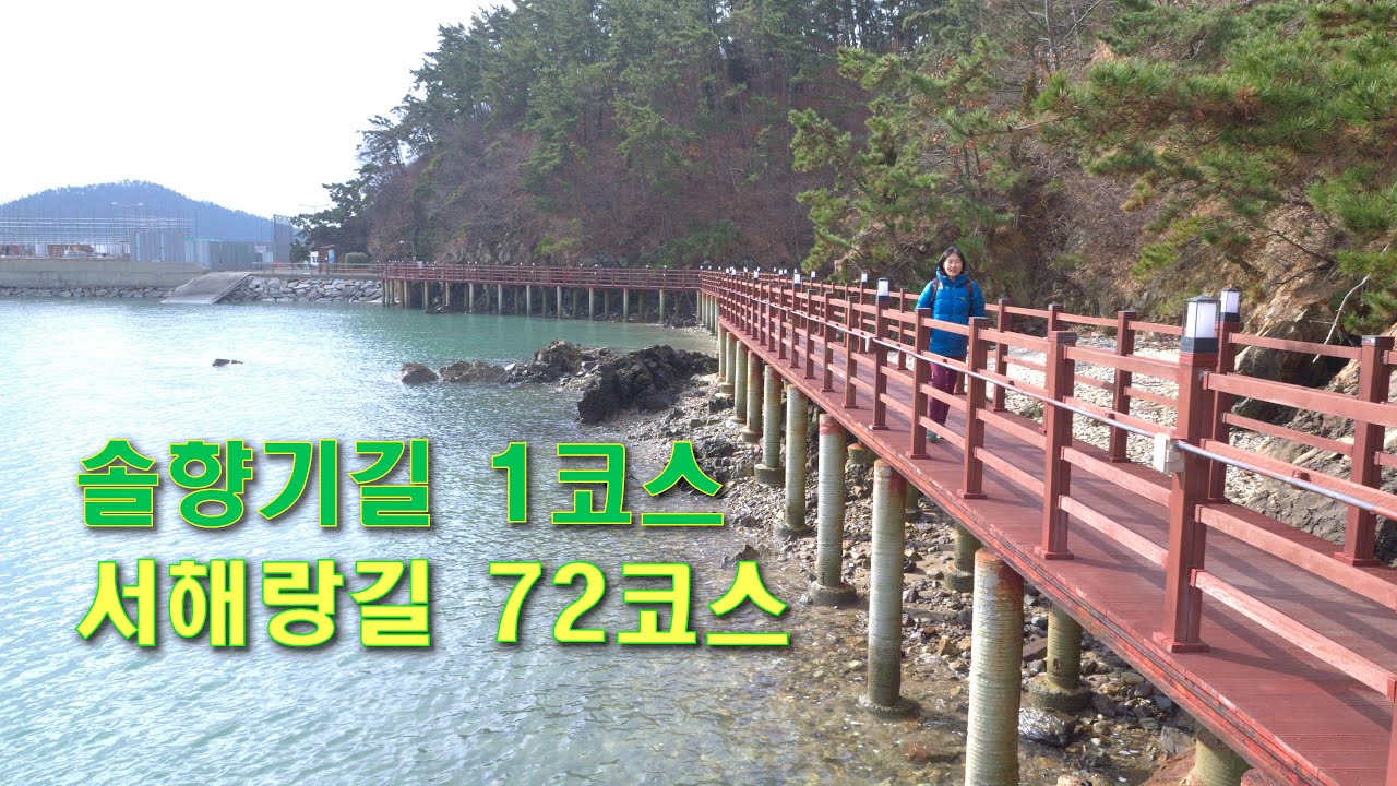 #서해랑길 72코스, #솔향기길 1코스, #당일산행, #태안, #대니랑에덴이랑