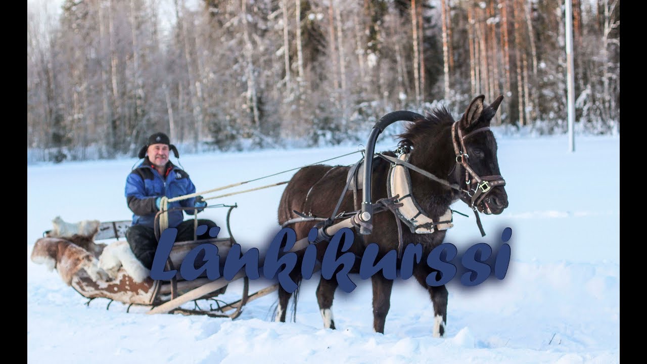 Länkikurssilla 2019, Matin puupaja