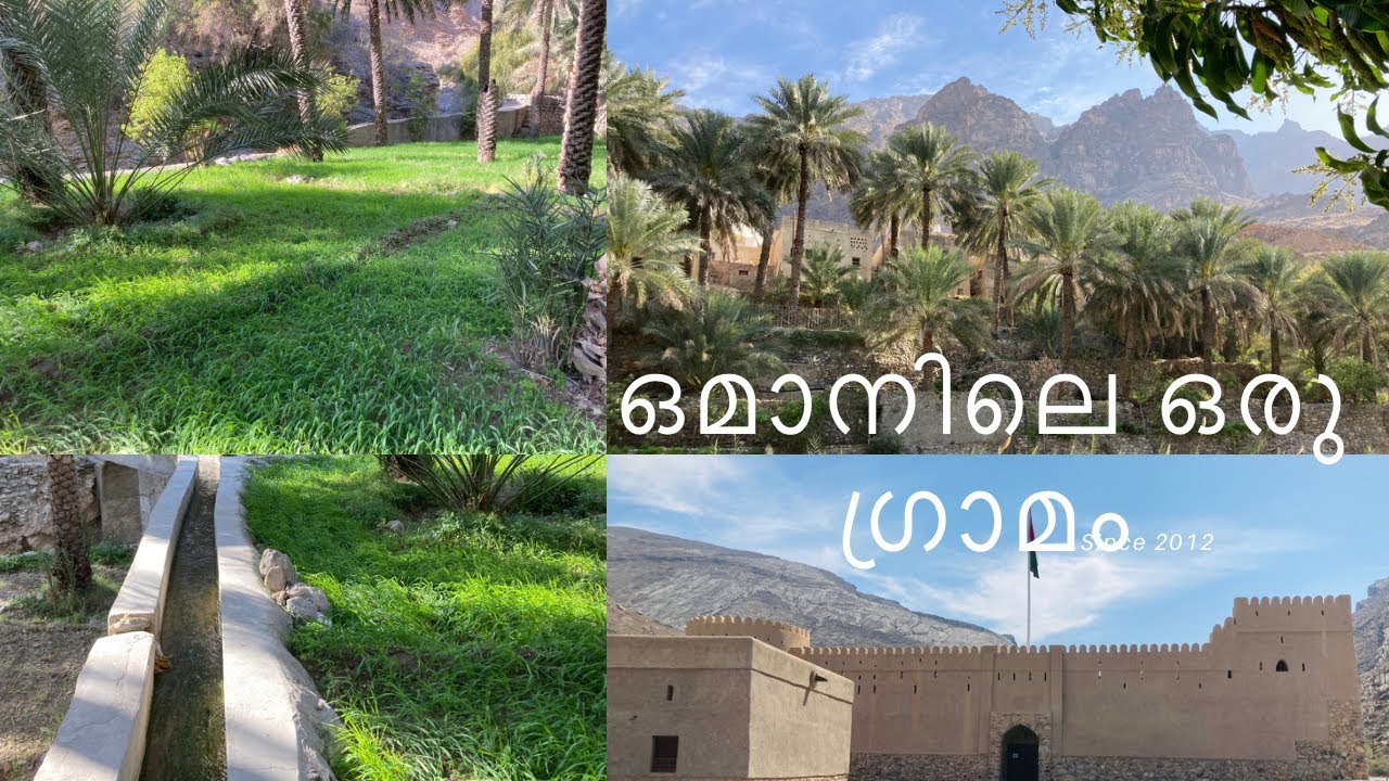 ഒമാനിലെ ഗ്രാമം || AL ALIA VILLAGE || AL AWABI FORT 🏰 || Wadi bin kharus || Explore Oman