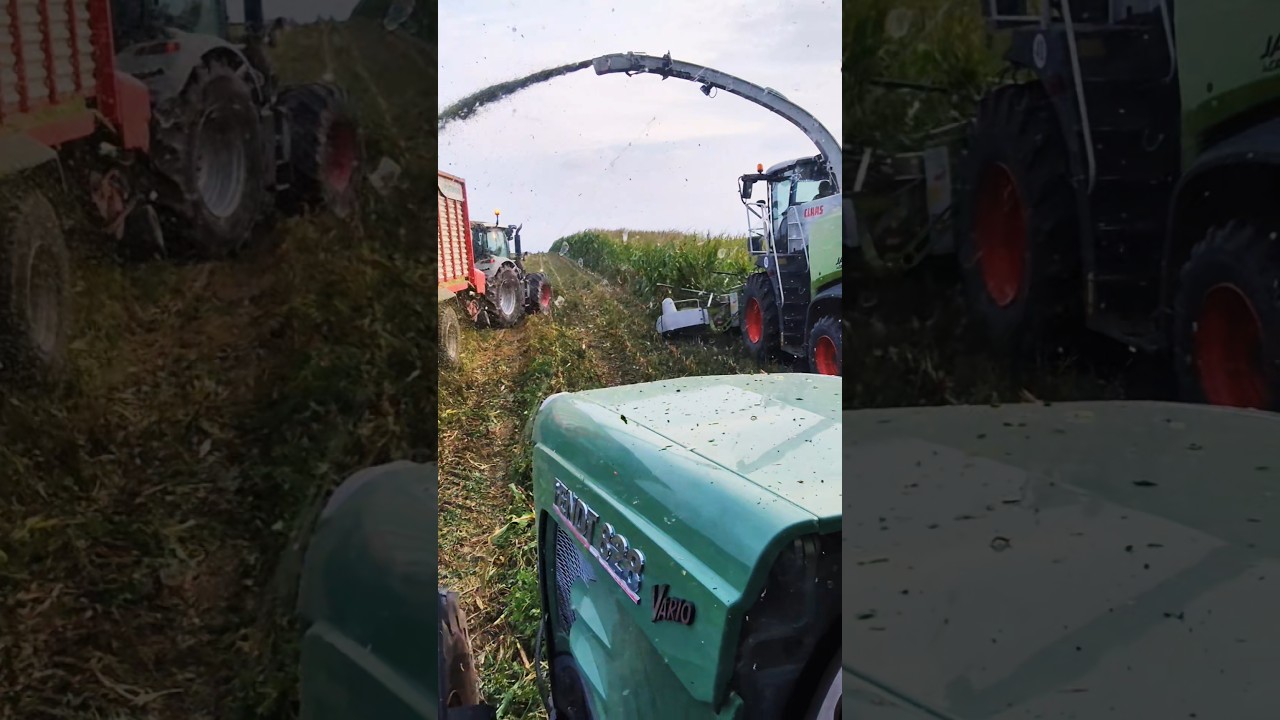 #fendt #class #johndeere #jumbo #koszenie #oporowo #kukurydza #explosion #farming #agriculture