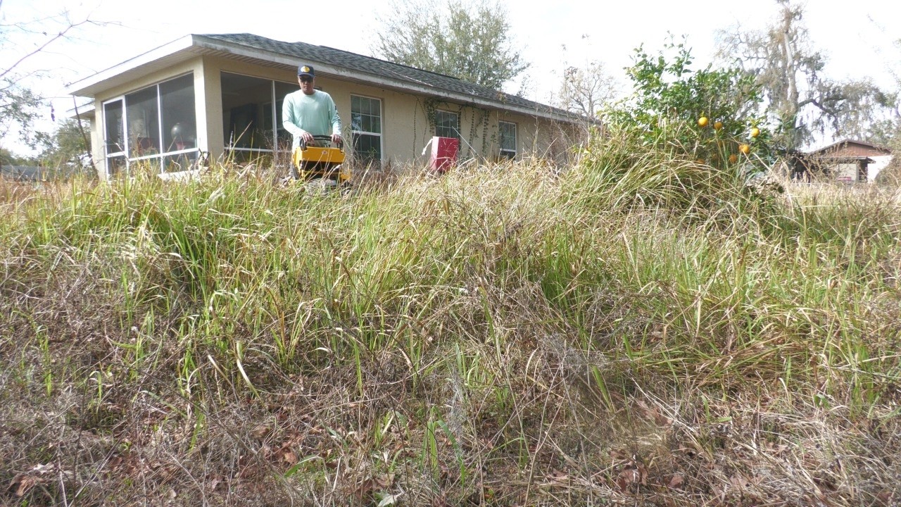 HURRICANE destroyed their mower, I UNCOVERED more than one on this OVERGROWN YARD
