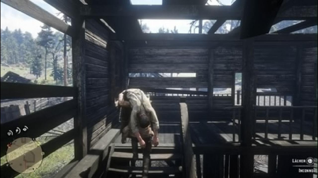 Red Dead Redemption 2 partie 5