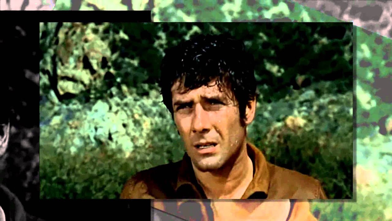 Robert Fuller (