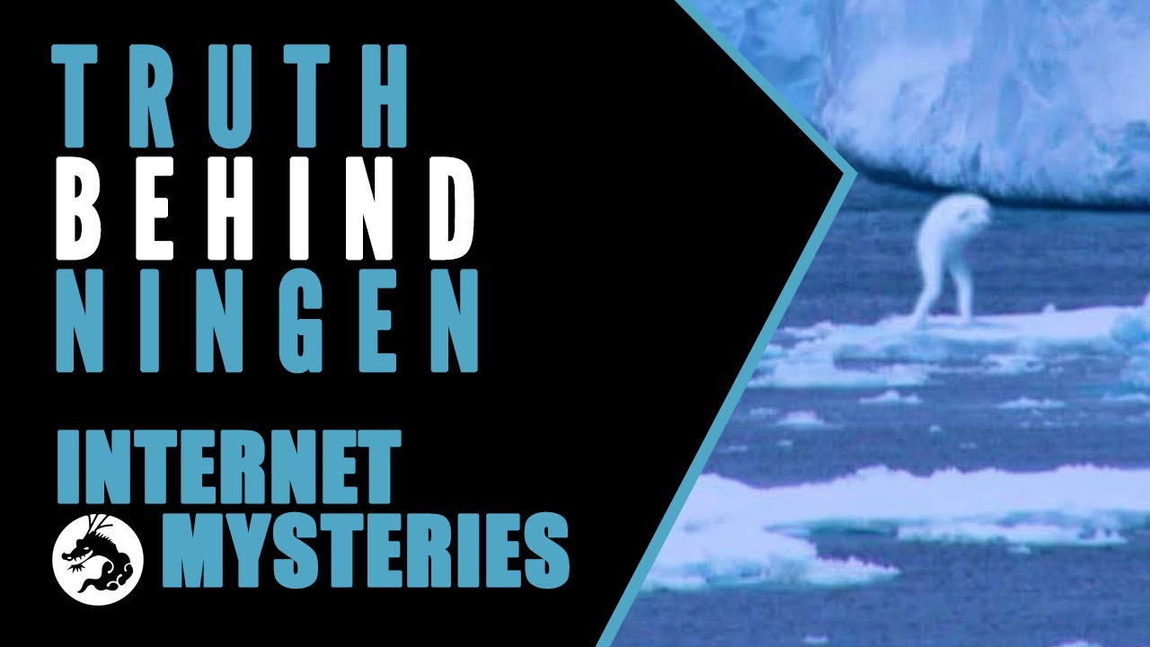 Internet Mysteries: Truth Behind the Japanese Cryptid Ningen