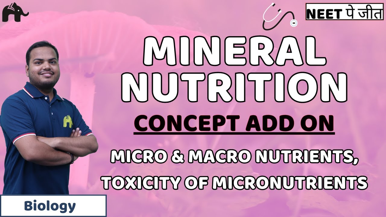 Mineral Nutrition Class 11 Biology NEET |  Essential Elements, Micro Macro Nutrients, Toxicity, Soil