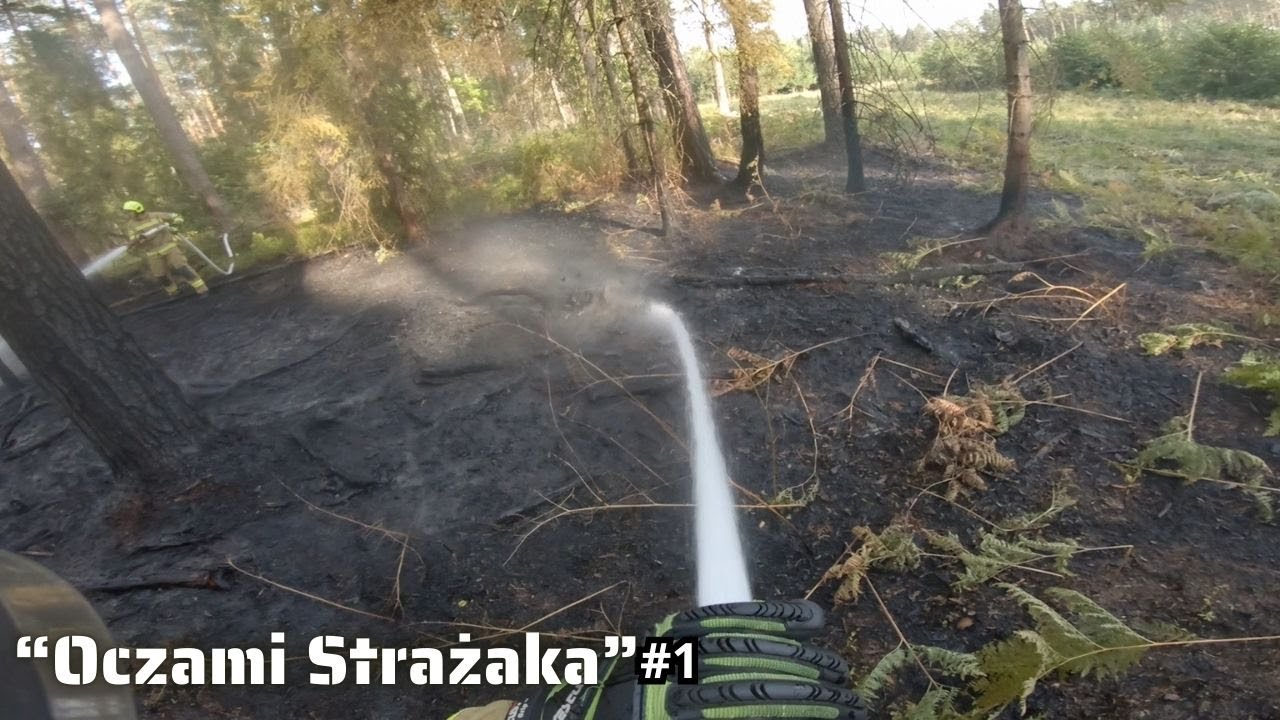 🚨97/2024 | 📋 Pożar lasu, Ruda Różaniecka. "Oczami Strażaka" odcinek 1