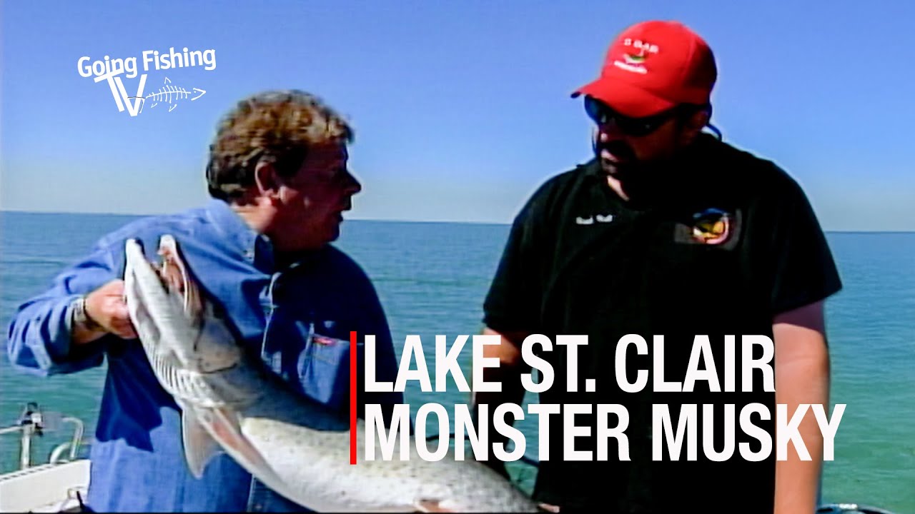 Monster Musky on Lake St. Clair