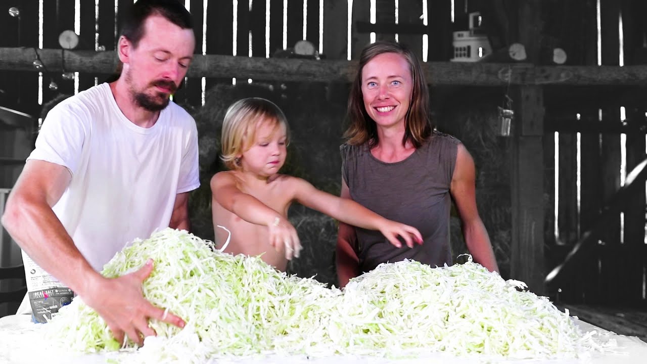 MASSIVE SAUERKRAUT HOARD!!! - Straight From Organic Garden - (homesteading survival food fermenting)