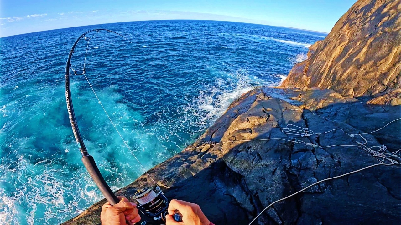 P&ecirc;che en roche &agrave; la p&ecirc;che aux gros poissons