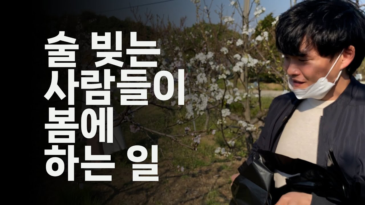 전통주 빚는 사람들이 봄에 하는 일