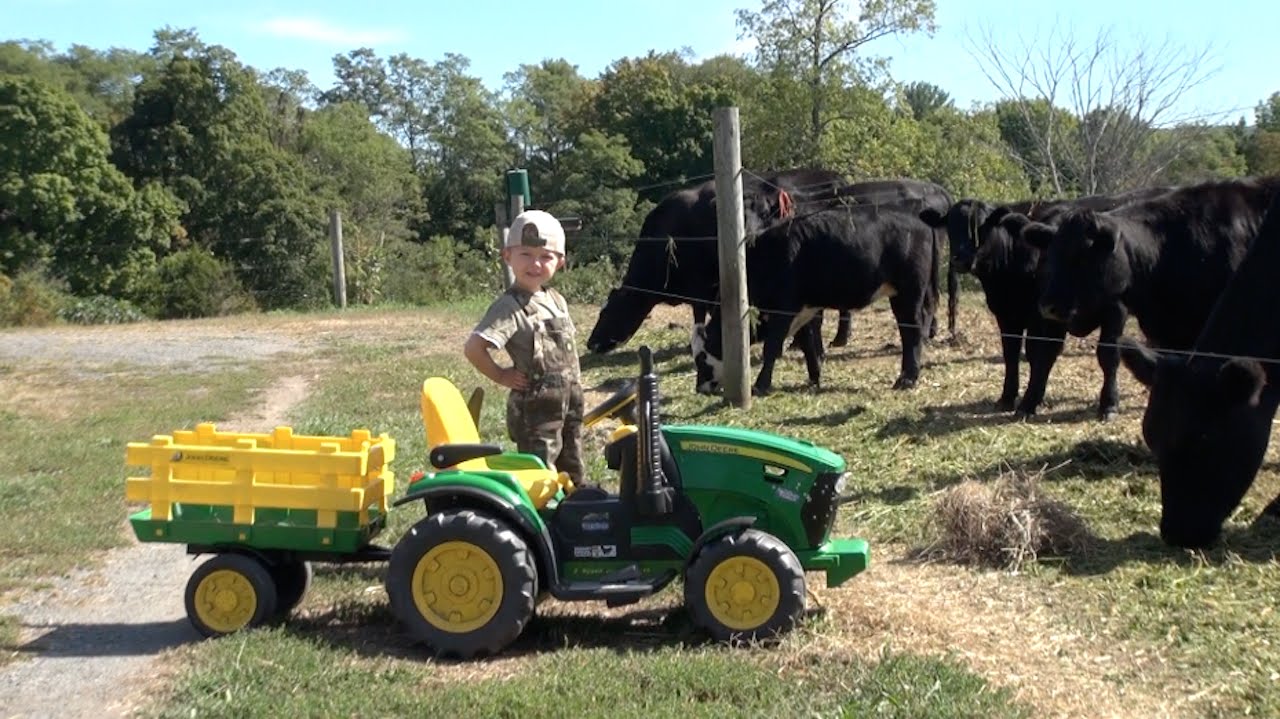 THE LITTLE FARMER