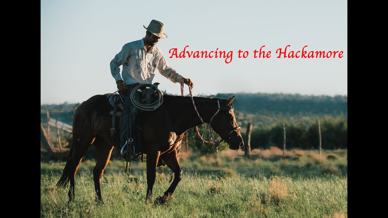 Checklist for Advancing to the Hackamore