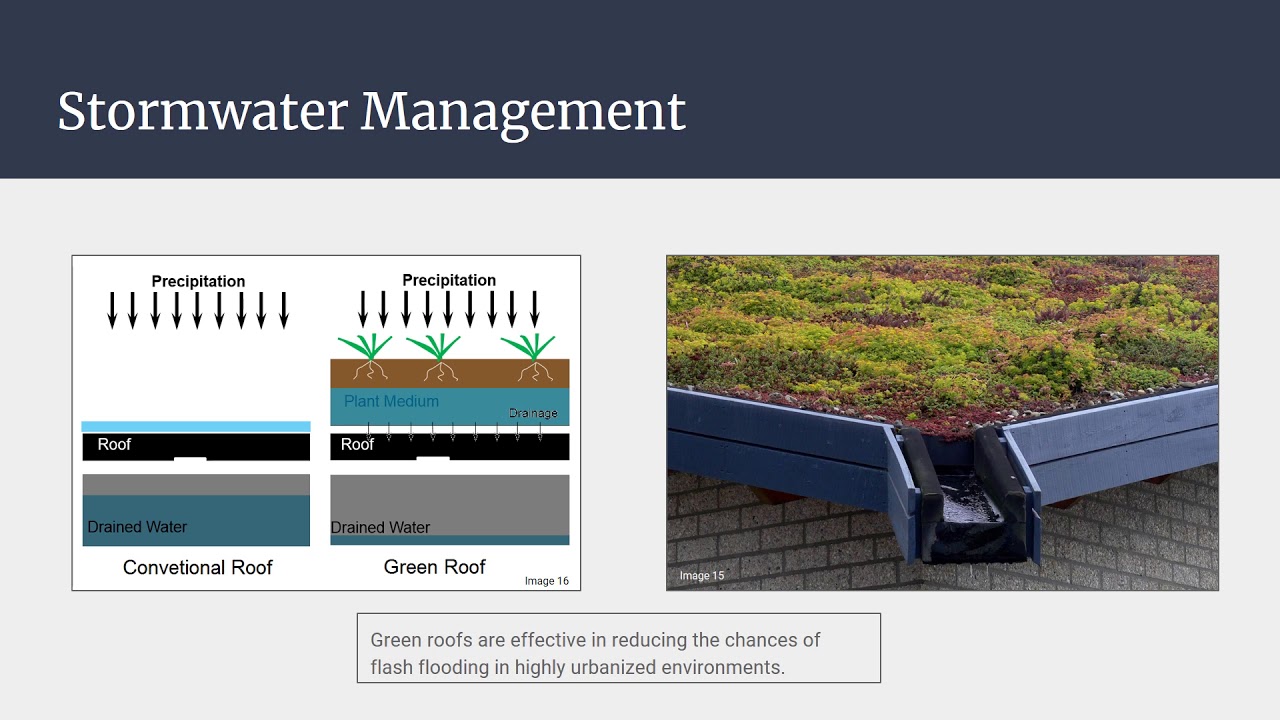 Green Roof Presentation