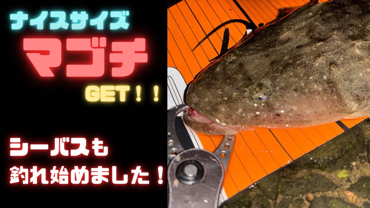良型マゴチGET!マイクロベイトパターンのシーバスも！
