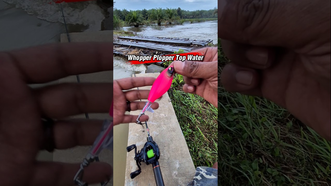 Umpan Casting Top Water Whopper Plopper 🎣👍