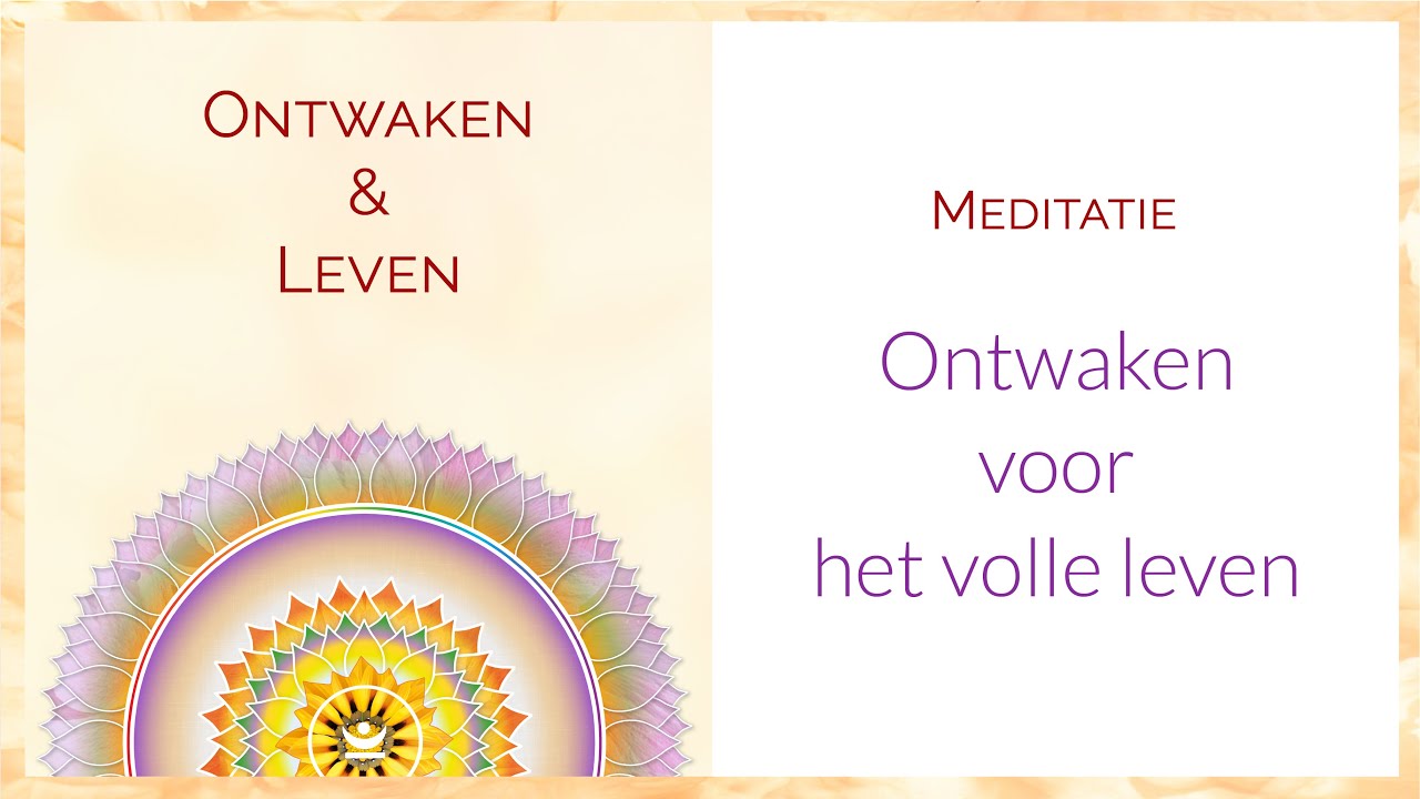 Meditatie: Ontwaak voor de diepgang van je ‘er zijn’ | Ontmoet je Essentie