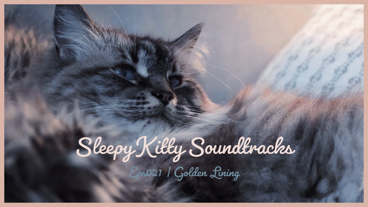 Sleepy Kitty Soundtracks Eps021 | Golden Lining
