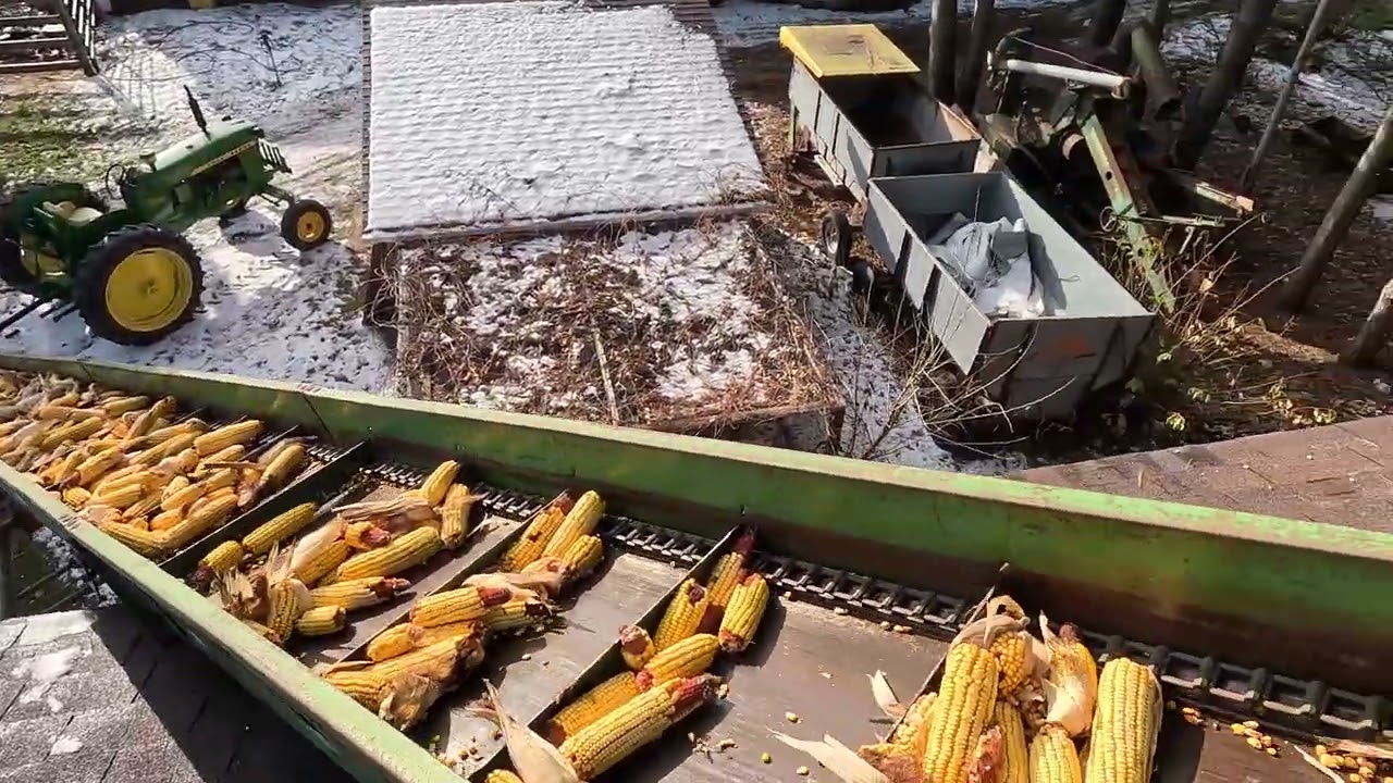John Deere 3010 picking corn and filling crib 4K